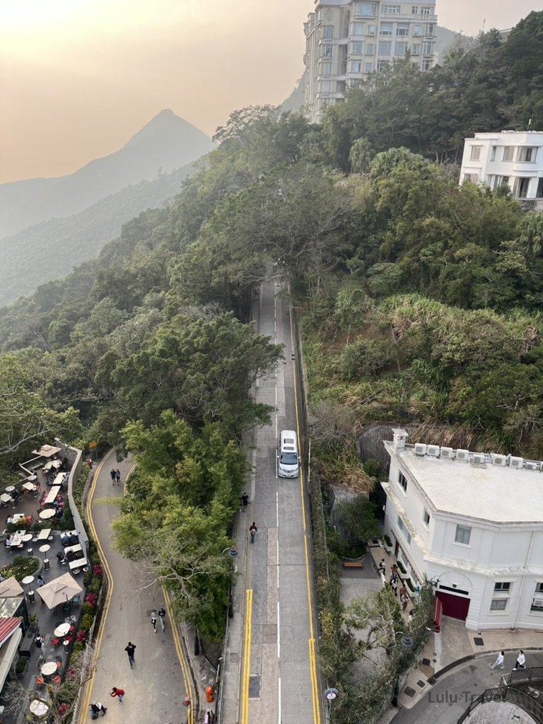 Hong Kong Trip Beyond the Surface: A Strategic 4-Day Itinerary 香港太平山頂俯瞰山區道路與綠意景觀,蜿蜒山路穿梭於森林與歐式建築之間,遠方山巒在薄霧中層層延伸,呈現靜謐的城市山景風貌