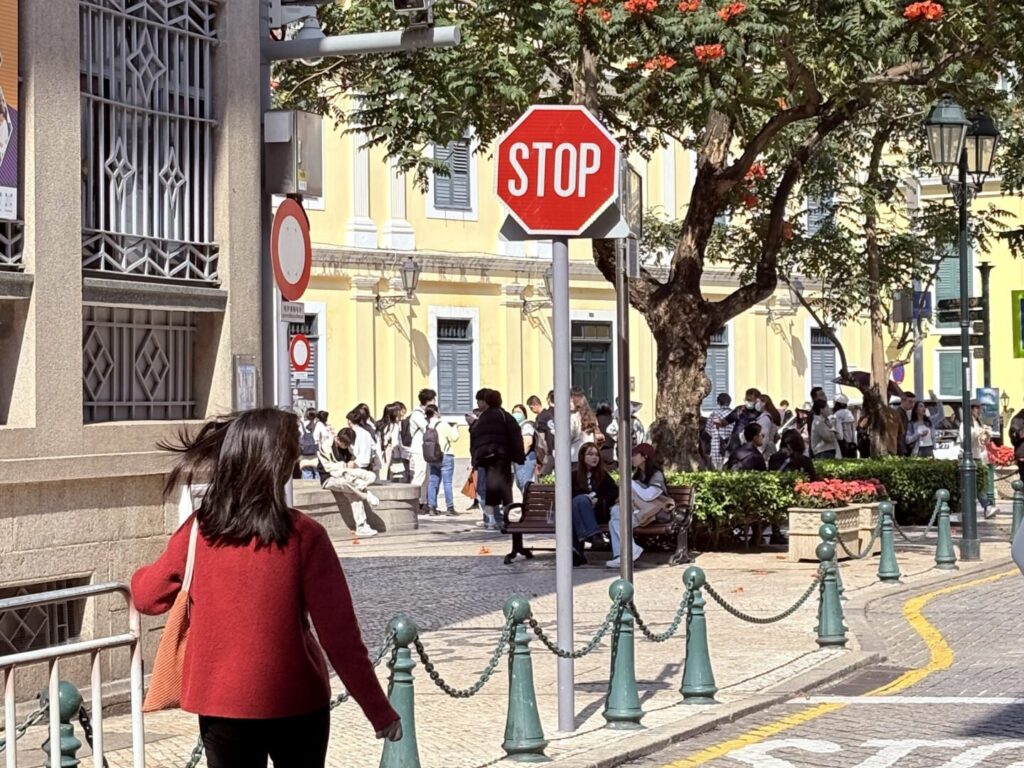 10+ Must-Eat Stalls in Macau: A No-Backtrack Food Route for 2 Days 1 Night 澳門市區街景,聖若瑟中學附近的石板路與紅花盛開的大樹,午後陽光下的行人與 STOP 交通標誌,展現澳門旅遊所見的澳門舊城區生活氛圍