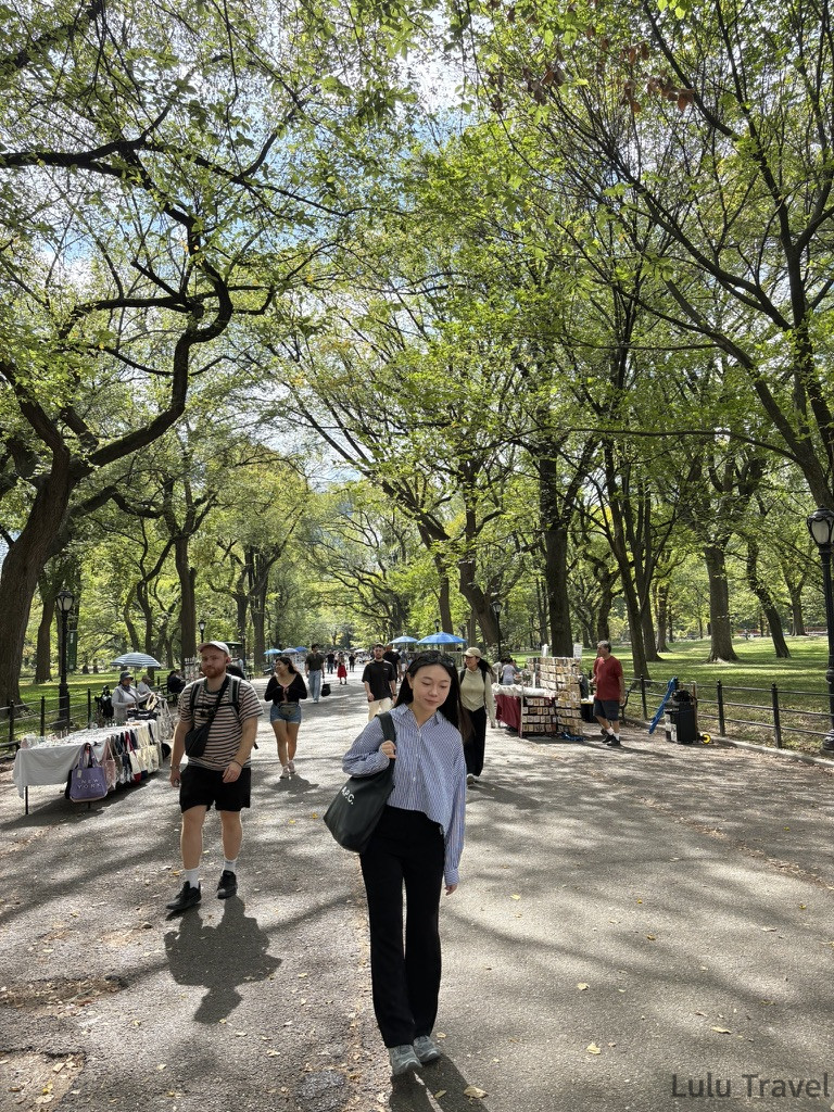 紐約自由行 | 旅費明細、交通技巧與住宿避雷全記錄 紐約中央公園(Central Park)林蔭大道實景,陽光穿過茂密的綠色樹冠灑在步道上,旅客在充滿生活感的畫攤旁緩慢步行。