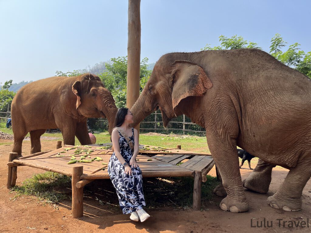 旅行生活觀察與旅遊經驗分享 LuluTravel