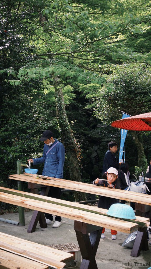 福岡自由行|日本黃金週的6 天 5 夜行程與消費明細 福岡糸島白絲瀑布周邊的流水麵體驗,遊客正開心地從長長的剖半竹管中夾取順水流下的麵條,周圍被翠綠森林包圍