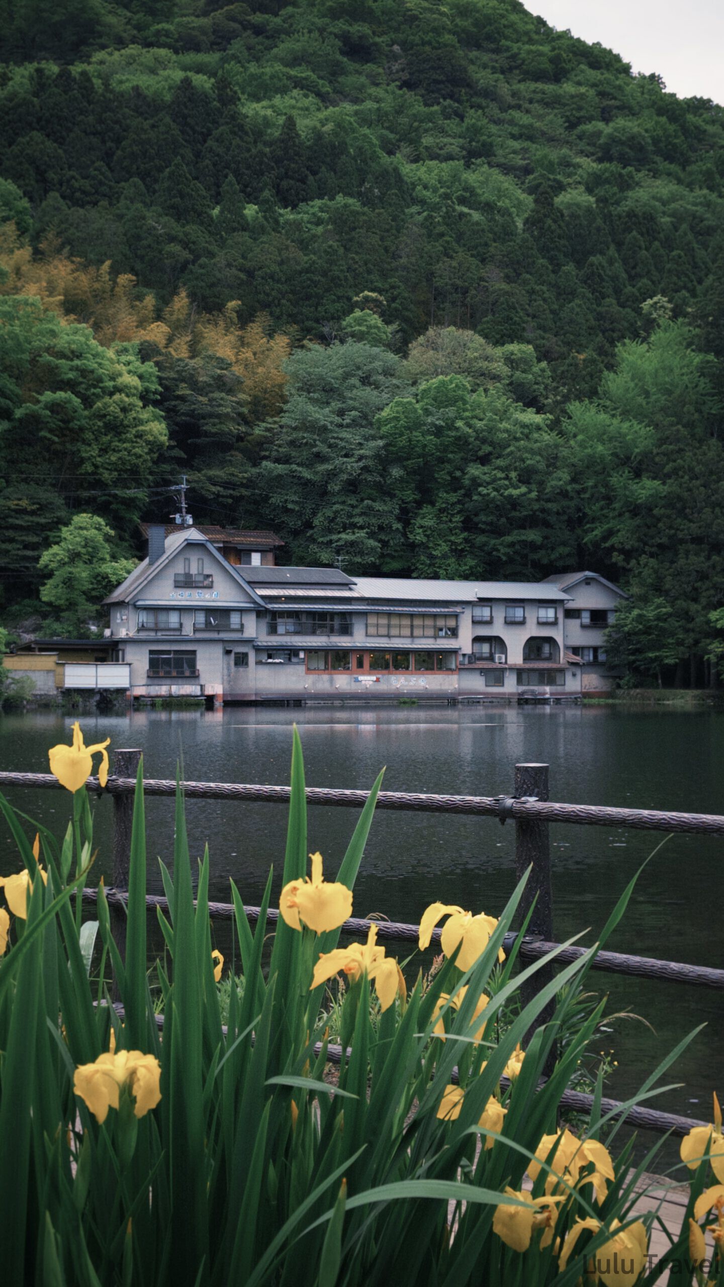由布院兩天一夜|避開黃金週人潮的溫泉住宿與由布院之森 清晨的金鱗湖畔,前景是盛開的黃色鳶尾花與木欄杆,對岸是湖上的旅館建築
